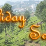 Holiday Tea and Teaware Sale
