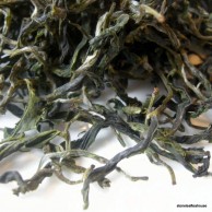 Fresh Spring Bi Luo Chun