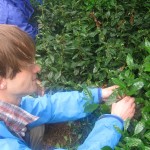 Japan Trip Harvest Lesson