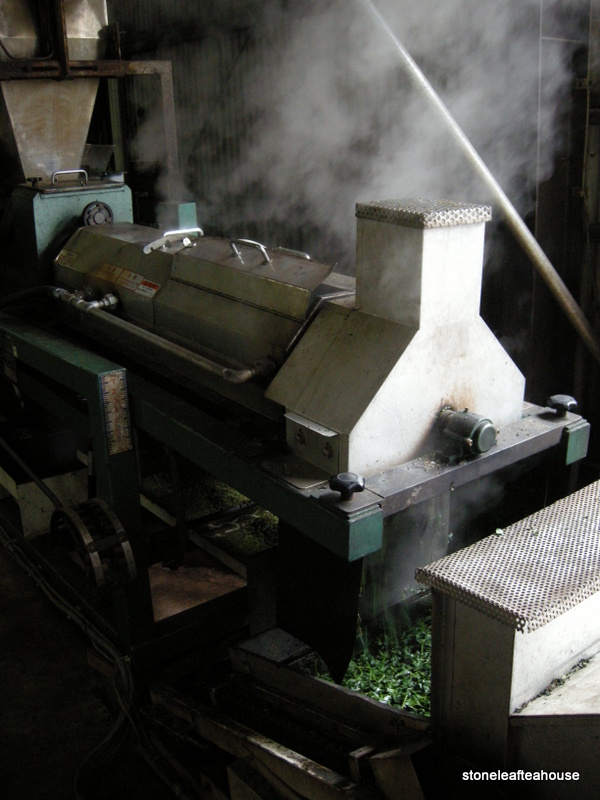 Matcha Isuzu - Image 10