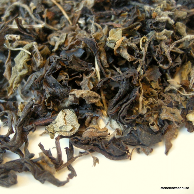 Holy Nilgiri