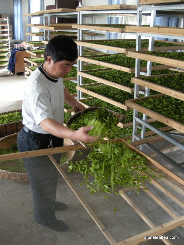 Jing Shan Mao Feng - Image 5