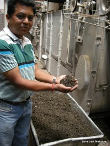 Tea Manager with tea hot out of the "oven"!