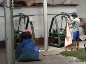 GopaldharaTeaRolling