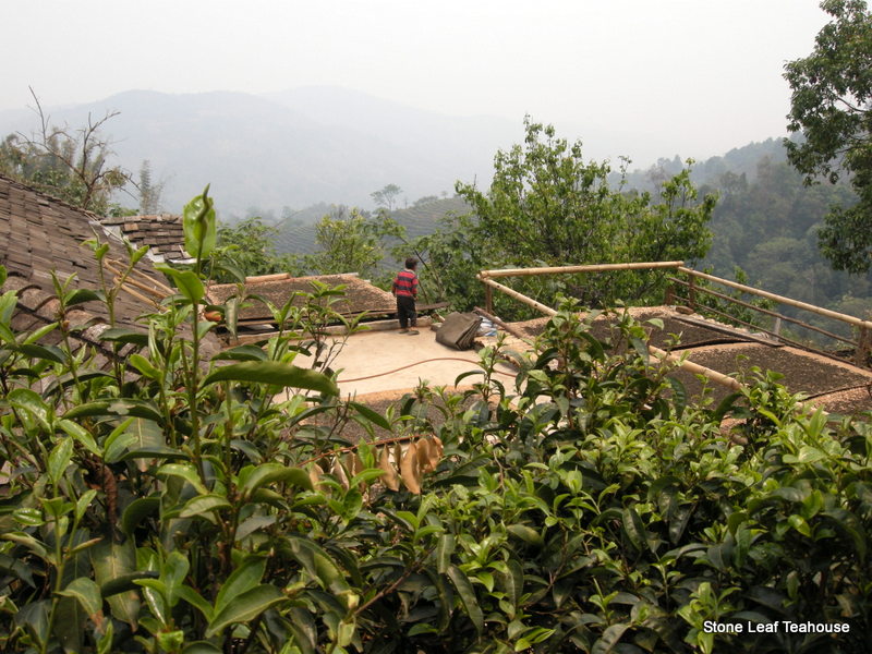Yunnan Mao Feng - Image 2