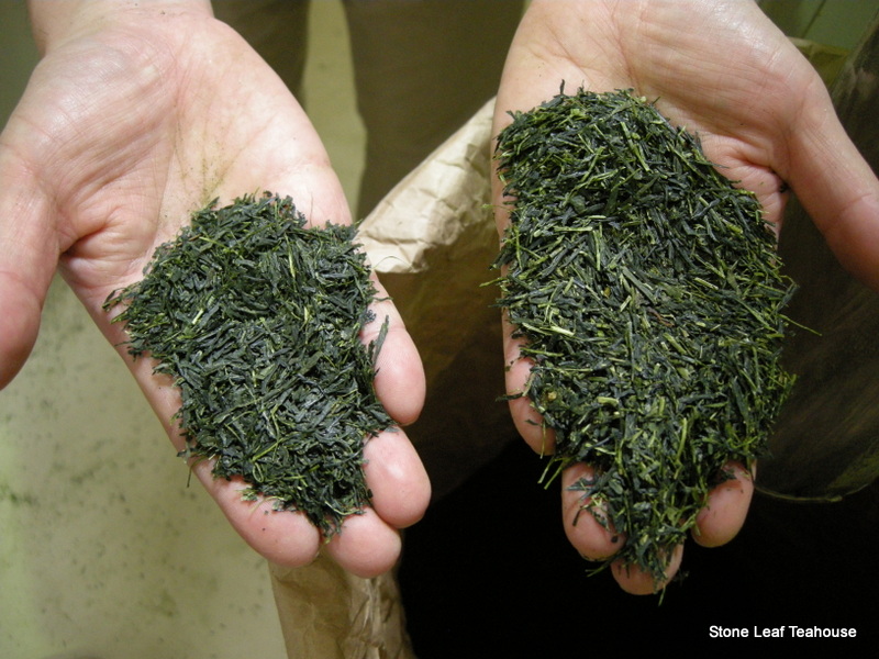 Uji Sencha - Image 4
