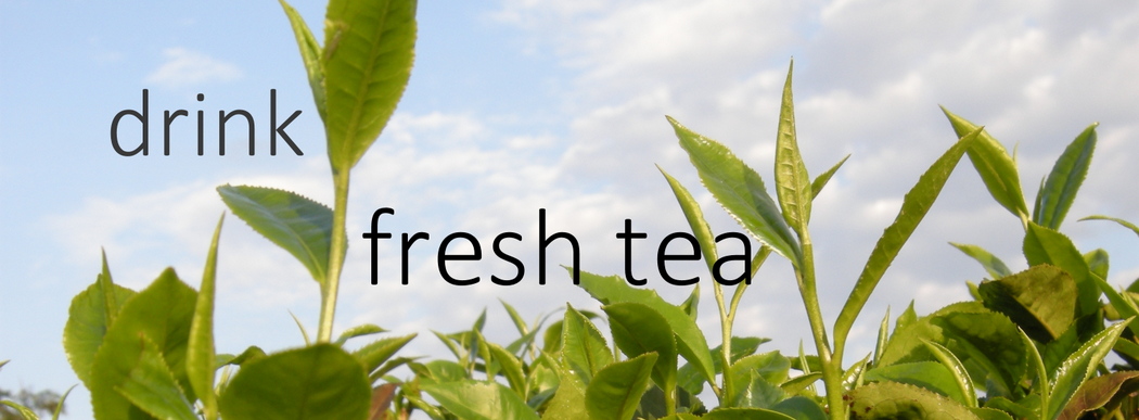 Stone Leaf Gift Card - Image 2