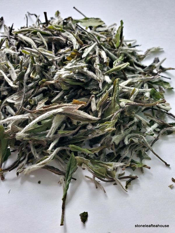 Fuding Bai Mu Dan - Image 7