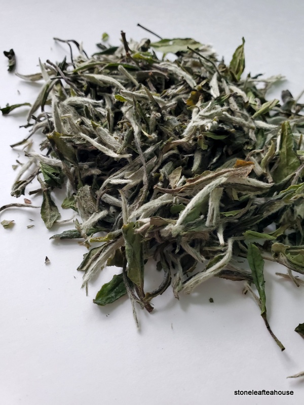 Fuding Bai Mu Dan - Image 8