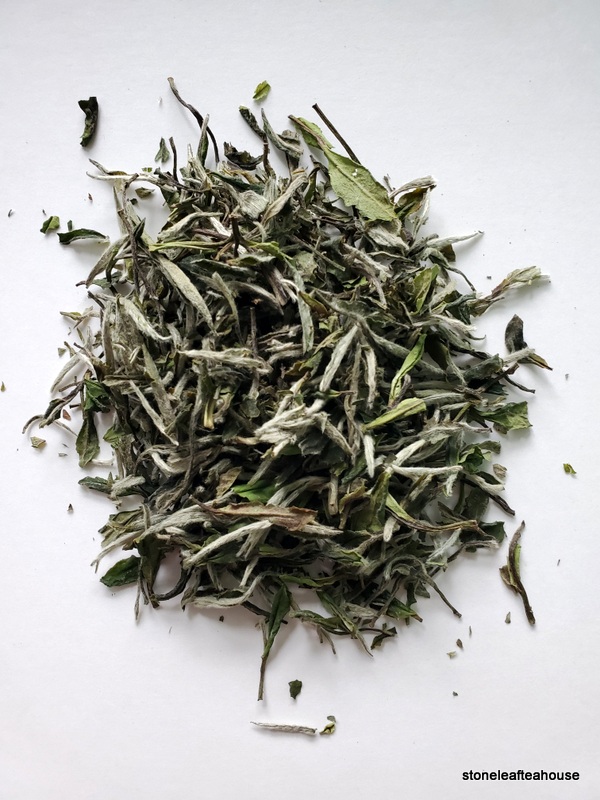 Fuding Bai Mu Dan - Image 11