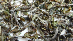 India & Nepal Black Tea