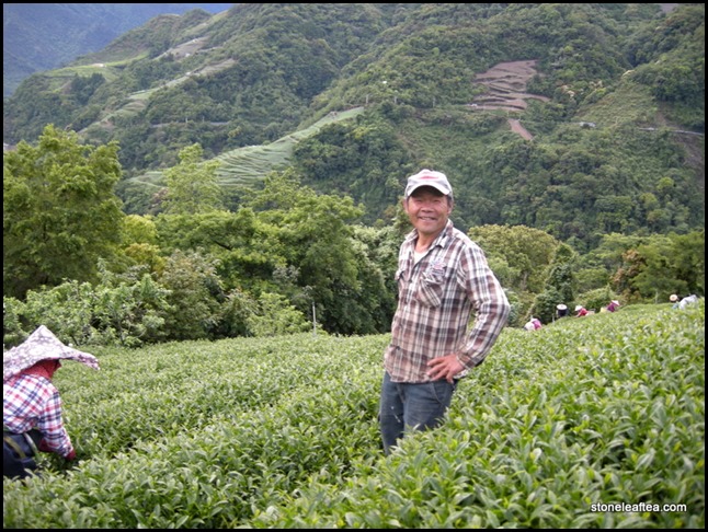 Mr A Lan Tea Garden Owner